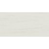 Плитка Atlas Concorde Marvel Stone Bianco Dolomite 45 * 90 (AZRZ) Atlas Concorde Для кухні, Для громадських приміщень, Для житлових приміщень, Для ванної
