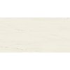 Плитка Atlas Concorde Marvel Stone Bianco Dolomite 60 * 120 (A21C) Atlas Concorde Для кухні, Для громадських приміщень, Для житлових приміщень, Для ванної