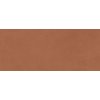 Плитка Atlas Concorde Prism Caramel 50 * 120 (A4TL) Atlas Concorde Для кухні, Для громадських приміщень, Для житлових приміщень, Для ванної