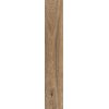 Плитка Piemme Valentino Cottage Cipresso Nat / Ret 20*119.5 (02992) Для кухні, Для громадських приміщень, Для житлових приміщень, Для ванної