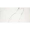 Плитка Piemme Valentino Majestic Queen’s Tiara Lev/Ret 60*119,5 (02651) Для кухни, Для общественных помещений, Для жилых помещений, Для ванной