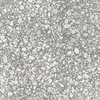 Плитка Fondovalle Shards Large Grey Glossy 120*120 (SHA032) Для кухни, Для общественных помещений, Для жилых помещений, Для ванной
