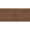 Плитка Fondovalle Acidic Corten 120 * 278 (ACD099) Для кухні, Для громадських приміщень, Для житлових приміщень, Для ванної
