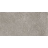 Плитка Imola Ceramica Stoncrete STCR1 12AG RM 60x120 Для кухні, Для громадських приміщень, Для житлових приміщень, Для ванної