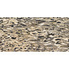 Плитка Imola Ceramica The Room GHEPARD6 12LP 60x120 Для кухни, Для общественных помещений, Для жилых помещений, Для ванной