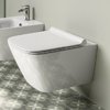 Подвесной безободковый унитаз Catalano Green NewFlush, с крышкой с микролифтом (1VS55RGR00+5GR55STP00+5KFST00) Подвесные 