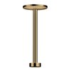 Душевой кронштейн для верхнего душа 280 2jet Axor One, Polished Bronze (48496130) Axor Коллекция One 