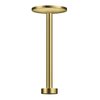 Душевой кронштейн для верхнего душа 280 2jet Axor One, Brushed Brass (48496950) Axor Коллекция One 