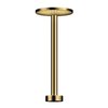 Душовий кронштейн для верхнього душу 280 2jet Axor One, Polished Gold Optic (48496990) Axor Коллекция One 