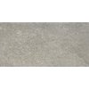 Плитка Ariostea Astra Full Body Astra Brume Naturale 60x30 (P36656) Для кухні, Для громадських приміщень, Для житлових приміщень, Для ванної