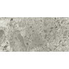 Плитка Ariostea Fragmenta full body Grigio Luminoso Levigato Lucidato 120x60 (PL612618) Для кухни, Для общественных помещений, Для жилых помещений, Для ванной
