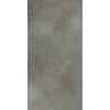 Плитка Ariostea Materie High Tech Peltro Naturale 60x30 (PS36476S8) Для кухни, Для общественных помещений, Для жилых помещений, Для ванной