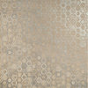 Плитка Decoratori Bassanesi Luci di Venezia Rialto White 60x60 (RI606W12LDV) Для кухни, Для общественных помещений, Для жилых помещений, Для ванной