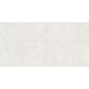Плитка Decoratori Bassanesi Luci di Venezia Riflesso Ice 60x120 (R601ISW48LDV) Для кухні, Для громадських приміщень, Для житлових приміщень, Для ванної
