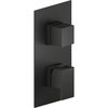 Смеситель для душа скрытого монтажа на 2 выхода Nobili Ray, velvet black (WE81102/QBM) Для душа Черный матовый