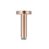 Душевой кронштейн 100 мм Tres Showers Head, розовое золото матовый (13452102OPM) Tres Коллекция Showers Head 