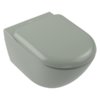 Подвесной безободковый унитаз Villeroy&Boch Antao со смывом TwistFlush, Morning Green (4674T0R8) Подвесные 