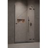 Душевая дверь Radaway Essenza Pro Brushed GunMetal DWJ 110 R (10099110-92-01R) двери Распашные наружу тон стекла Прозрачное 