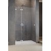 Душевая дверь Radaway Essenza Pro Brushed Nickel DWJ 120 L (10099120-91-01L) двери Распашные наружу тон стекла Прозрачное 