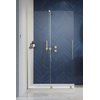 Душевая перегородка Radaway Furo Brushed Gold Walk-in 130L (10106688-99-01L+10110644-01-01) walk-in Прозрачное