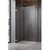 Душевая перегородка Radaway Essenza Pro Brushed Gold Walk-in 50 см (10103050-99-01) walk-in Прозоре