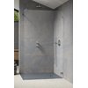 Душевая перегородка Radaway Essenza Pro Brushed Nickel Walk-in 140 см (10103140-91-01) walk-in Прозрачное