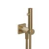 Гигиенический душ Gessi Inverso, Warm Bronze Br. PVD (59153-726) Гигиенические души Матовая бронза PVD