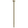 Потолочный излив Gessi Gessi316 Flessa, Brass Brushed PVD (54099-727) GessiGessi316 Flessa Потолочные