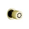 Поворотный боковой душ Gessi Gessi316, Gold PVD (13375-246) Боковые души (форсунки) Золото PVD