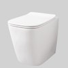 Напольный безободковый унитаз Artceram A16 The.Reel, Matte white (ASV007 05;00) Напольные 