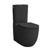 Чаша унитаза-компакта ArtCeram File 2.0, Matte black (FLV003 17;00) Напольные Без бачка (отдельно)