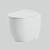 Напольный безободковый унитаз ArtCeram Monet The.Saniglaze, Matte white (MNV003 05;00) Напольные 