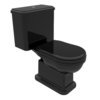 Унитаз-компакт Flaminia Efi, с сиденьем и крышкой, Black (6001NER+6003NER+23/CNER) Напольные С бачком (в комплекте)