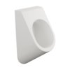 Писсуар Flaminia App Goclean, с крышкой Soft-closing, Milky White (AP28GLAT+AP28CW03LAT) Подвесные 