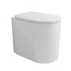 Підлоговий безободковий унітаз Flaminia Astra Goclean®, з сидінням Slim Soft Close, White (AS117G+ASCW05) Підлогові 