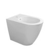 Биде напольное Flaminia Link, White (LK217) Напольные Белый