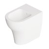 Напольное биде Alice Ceramica UNICA 55, White matt (32210109 FT) Напольные Белый матовый