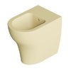 Напольное биде Alice Ceramica UNICA 55, Zenzero matt (32210146 FT) Напольные Кремовый