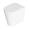 Унитаз напольный безободковый Alice Ceramica Hide Round, с сиденьем Soft Close, White matt (31150109 FT+MC3109S) Напольные 