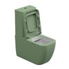 Унітаз-компакт GSG Brio, із сидінням Soft Close, Bicolore salvia satinato (BRCIMBL 031+ACS82+BRMBL BI 000 031+ACS51+BRCOPRSLTICR 031) Підлогові З бачком (в комплекті)