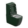Унитаз-компакт GSG Brio, с сиденьем Soft Close, Bicolore smeraldo satinato (BRCIMBL 036+ACS82+BRMBL BI 000 036+ACS51+BRCOPRSLTICR 036) Напольные С бачком (в комплекте)