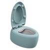 Унитаз подвесной безободковый GSG Touch, с сиденьем Soft Close, Bicolore ice satinato (TOWCSOSC BI 000 037+ACS40+TOCOPRTICR 037) Подвесные 