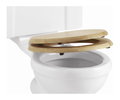 Крышка для унитаза SoftClose Burlington, золотистый дуб (S16) 