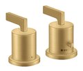 Термостатический смеситель для ванны Axor Citterio, Brushed Gold Optic (39482250) Для ванны Золото