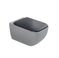 Крышка для унитаза Cielo Shui Comfort soft-close, темно-серый (CPVSHCOTF-BA) 