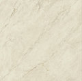 Плитка Imola Ceramica Muse MACCHIAAP.1WLP 120x120 Для кухни, Для общественных помещений, Для жилых помещений, Для ванной