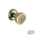Бічний душ Dornbracht Madison, brass (28518360-09) Бокові душі (форсунки) Золото