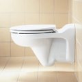 Подвесной унитаз Bambi Duravit Duraplus (0185090000) Подвесные 