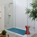 Душова перегородка Flaminia Bamboo 120 см (50BF/3) walk-in Прозоре