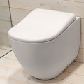 Унитаз напольный Cielo Fluid, white (FLVA) Напольные 